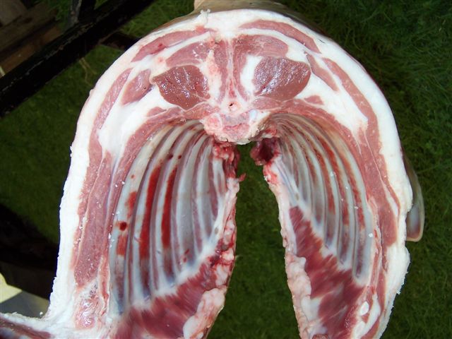 A lamb carcase which shows too much fat. 